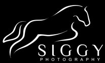 Siggy Photography